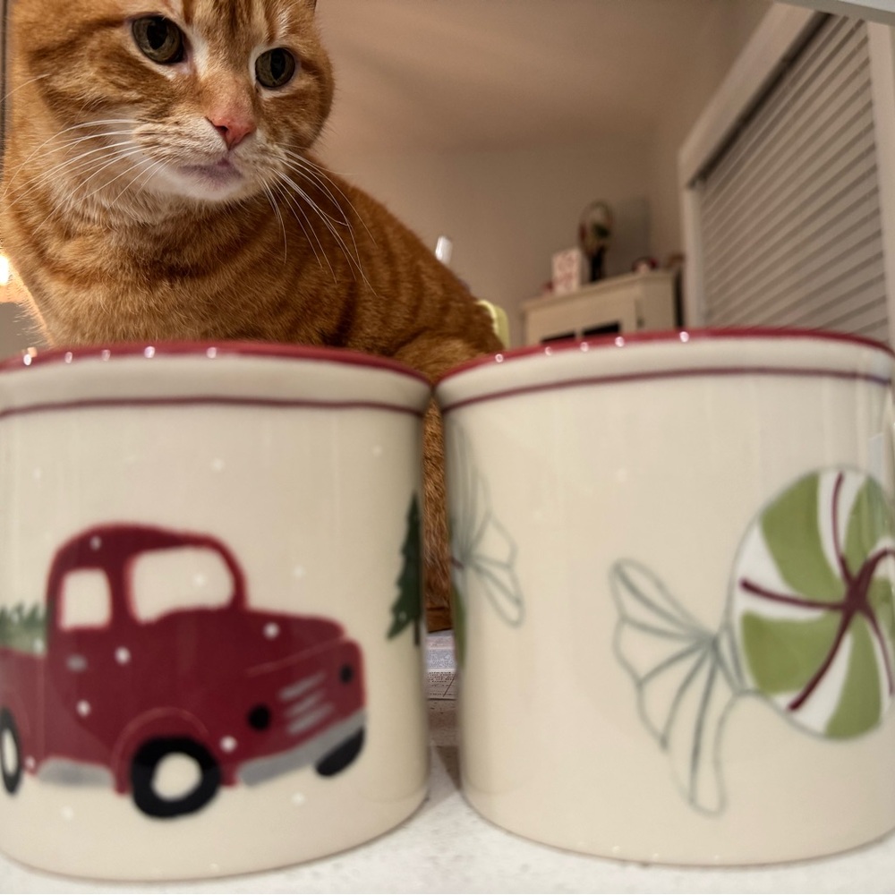 Starbucks Red and Green Holiday Mugs